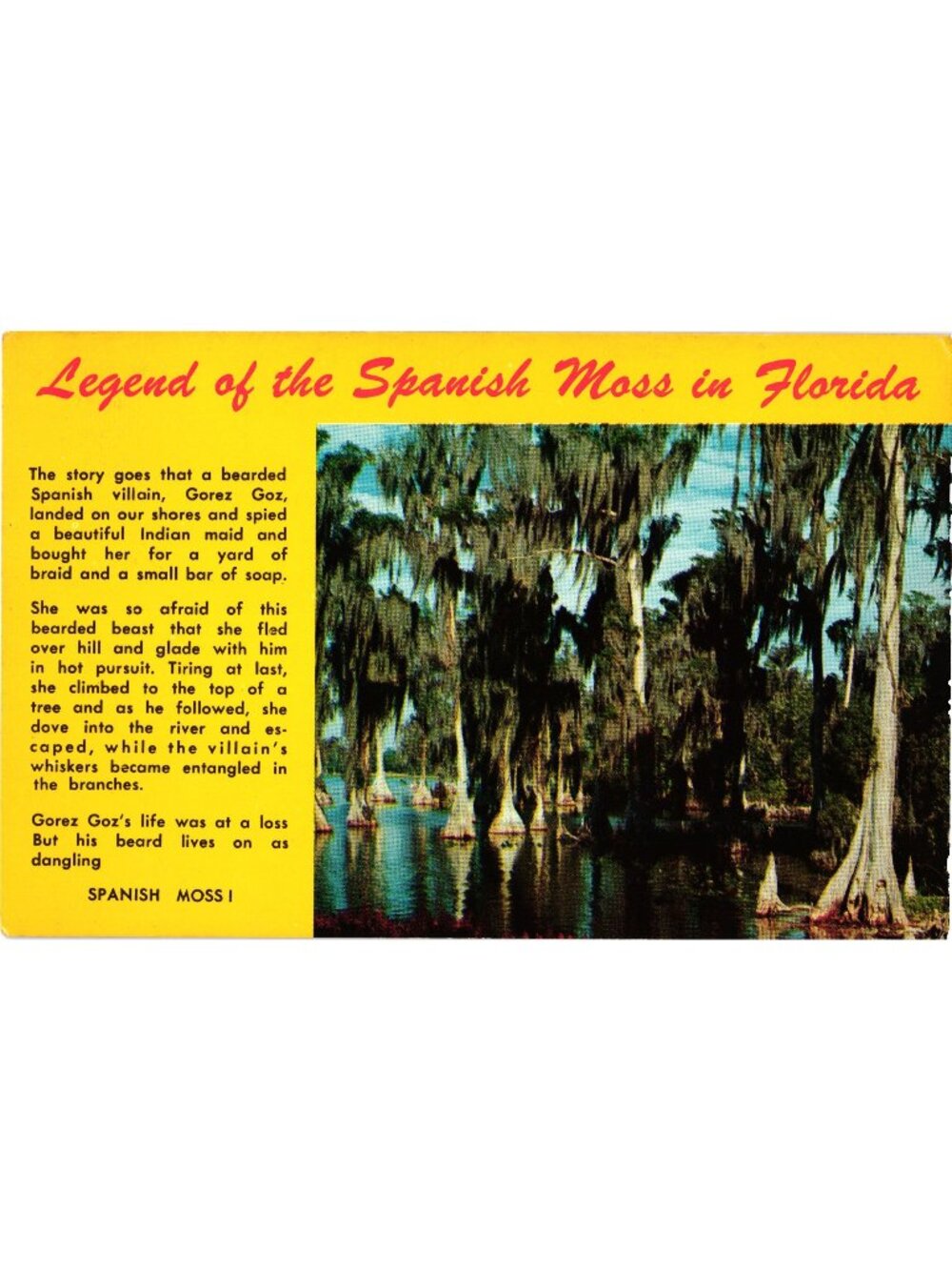 Legend Of The Spanish Moss In Florida Vintage Postcard Nature & Folklore Unused